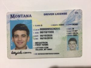 Buy Montana driver license and ID card online