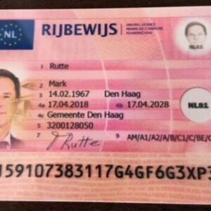 Buy Dutch Drivers License