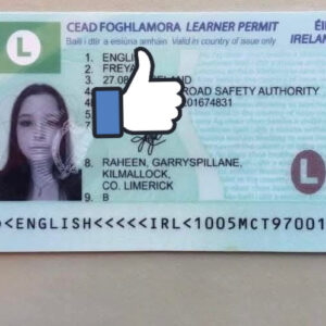 Buy Ireland Driver’s License