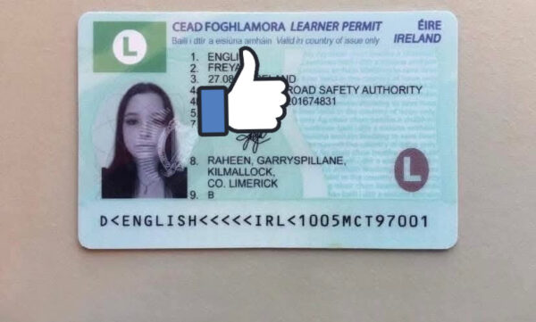 Buy Ireland Driver’s License