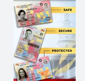 Buy Maryland drivers license and id card online